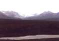 denali_highway_sm.jpg (1668 bytes)